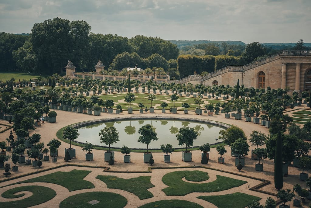 people walking on park during daytime