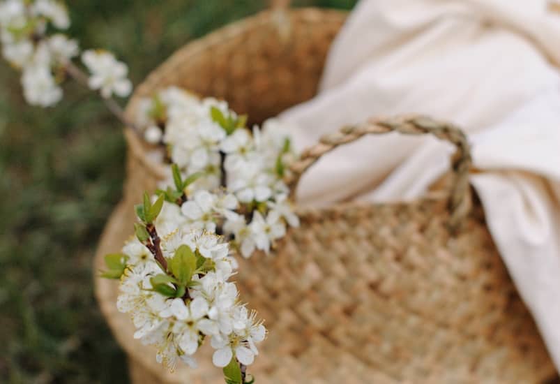 white flowers in brown woven basket